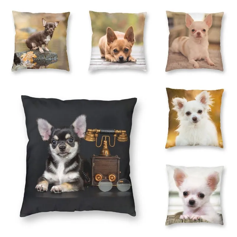 Pet Dog Chihuahua Print Cushion Cover Sofa Living Room Funny Animal Puppy Square Throw Pillow Case 45x45cm
Pet Dog Chihuahua Print Cushion Cover Sofa Living Room Funny Animal Puppy Square Throw Pillow Case 45x45cm