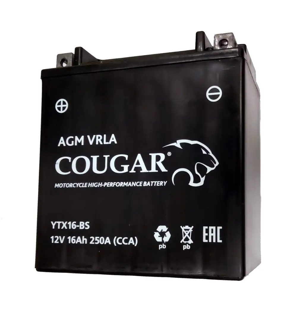 Аккумулятор МОТО COUGAR 12V/16 Ah (YTX16-BS) | Автомобили и мотоциклы