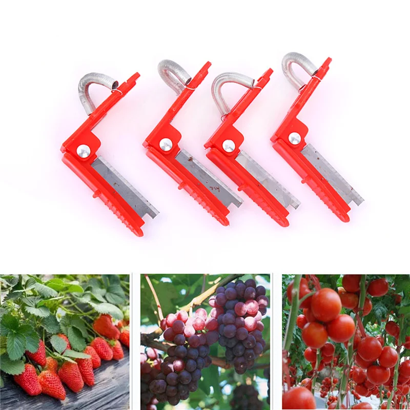 Vegetable Thump Knife Separator For Farm Orchard Fruit Harvesting Picking Tool High Quality Garden Dupplies Fast Deliver