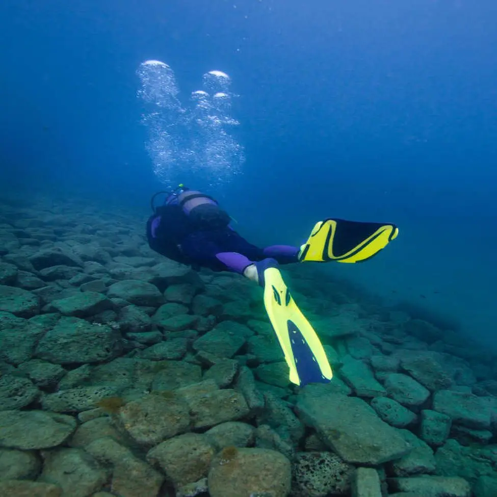 500 Subea Water Sport soft freediving spear fishing Scuba diving flippers Flipper Pin
500 Subea Water Sport soft freediving spear fishing Scuba diving flippers Flipper Pin