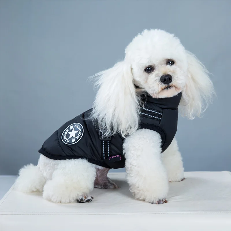Hot Selling Cotton Pet Clothing with Durable Chest Strap Harness Dog Costume Jacket Winter Coat High Quanlity Dog Clothes
Hot Selling Cotton Pet Clothing with Durable Chest Strap Harness Dog Costume Jacket Winter Coat High Quanlity Dog Clothes
