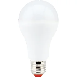 5 шт. Ecola classic LED Premium 15 0W A60 220-240V E27 2700K (композит) 120x60 мм