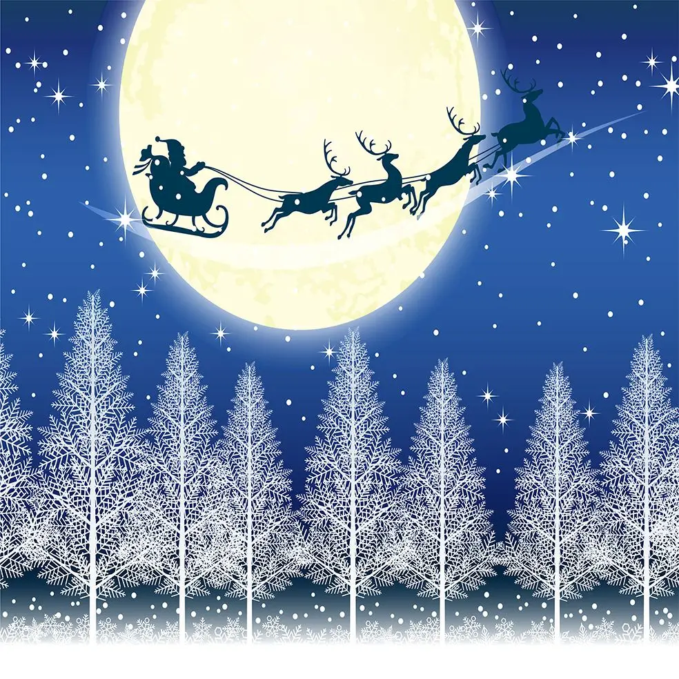 Curtain Pine Trees Snowy Christmas Night Sky Full Moon Stars Santa Claus Flying on His Sleigh with Reindeers Art White blue
Curtain Pine Trees Snowy Christmas Night Sky Full Moon Stars Santa Claus Flying on His Sleigh with Reindeers Art White blue