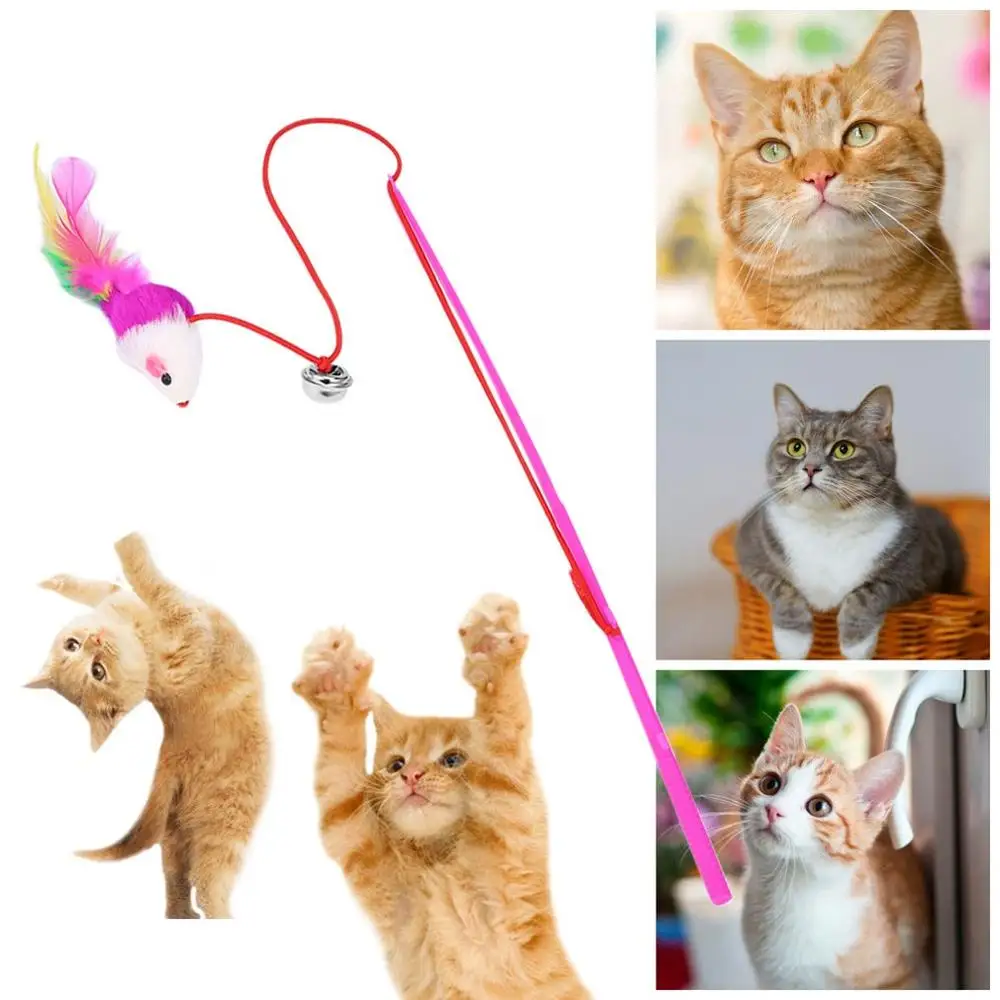 1PC Cat Interactive Toy Stick Teaser Feather Wand Funny Rod Cat Wand Toys for Cats Plastic Artificial Interactive Stick Cat Toy
1PC Cat Interactive Toy Stick Teaser Feather Wand Funny Rod Cat Wand Toys for Cats Plastic Artificial Interactive Stick Cat Toy