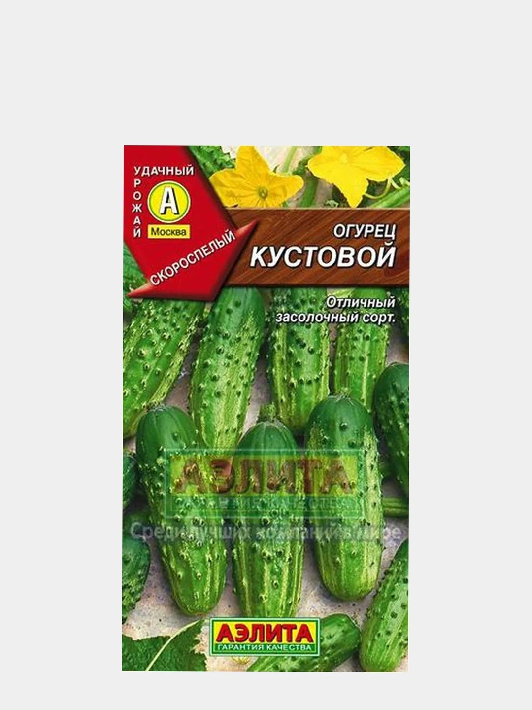 Купить Семена Огурцов Кустовой