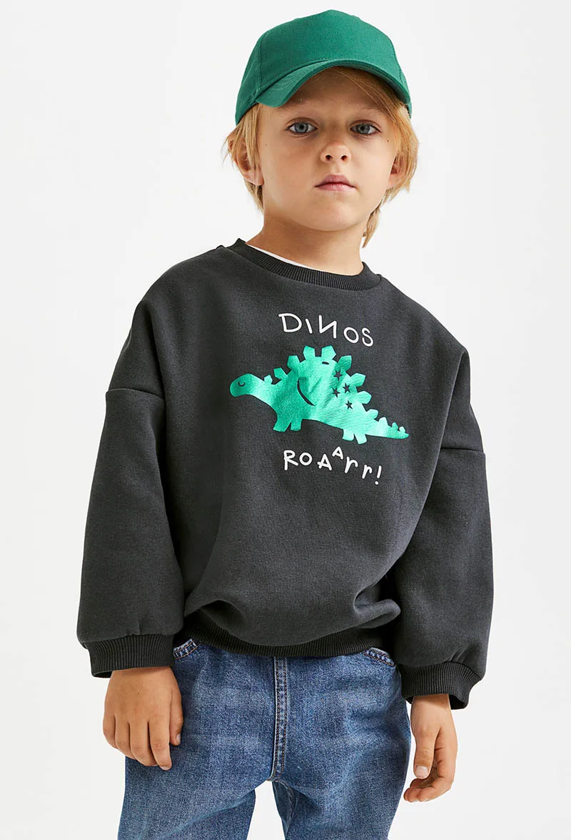 

Brand Quality 100% Terry Cotton Sweater Hoodies Cartoon Children Clothing Kids Sweatshirt Casual Tshirt Blouse Baby Boys Clothes