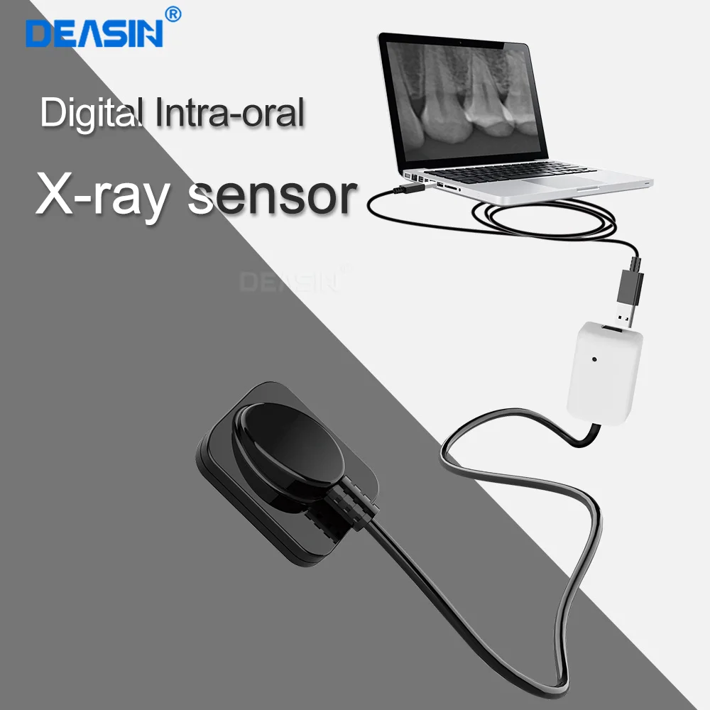 

Hot Sale Digital Intra-Oral X-ray Sensor USB Dental Dr X Ray Sensor Image RVG X-ray Sensor Mslfp12