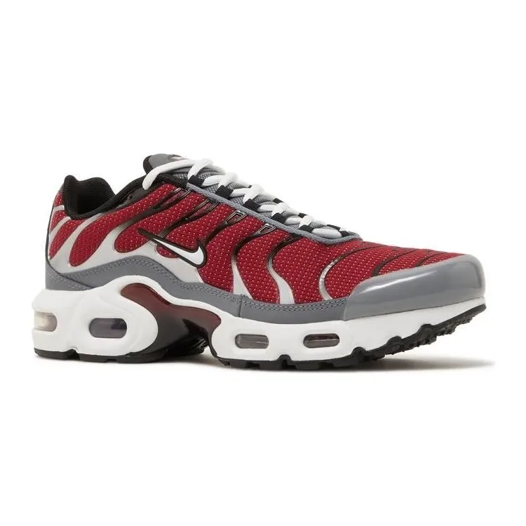 Рисунок 2 - Nike Air Max Plus Tn Настроенные
