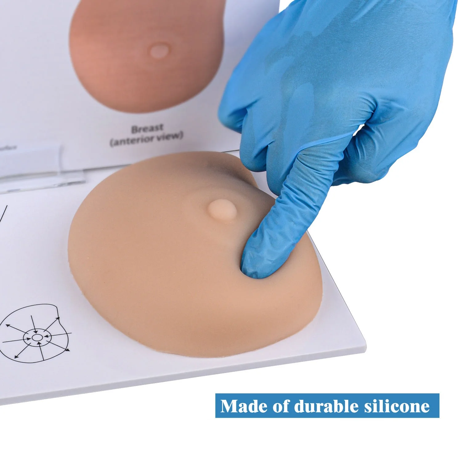 

Симулятор женского осмотра и пальпации, модель самоосмотра груди