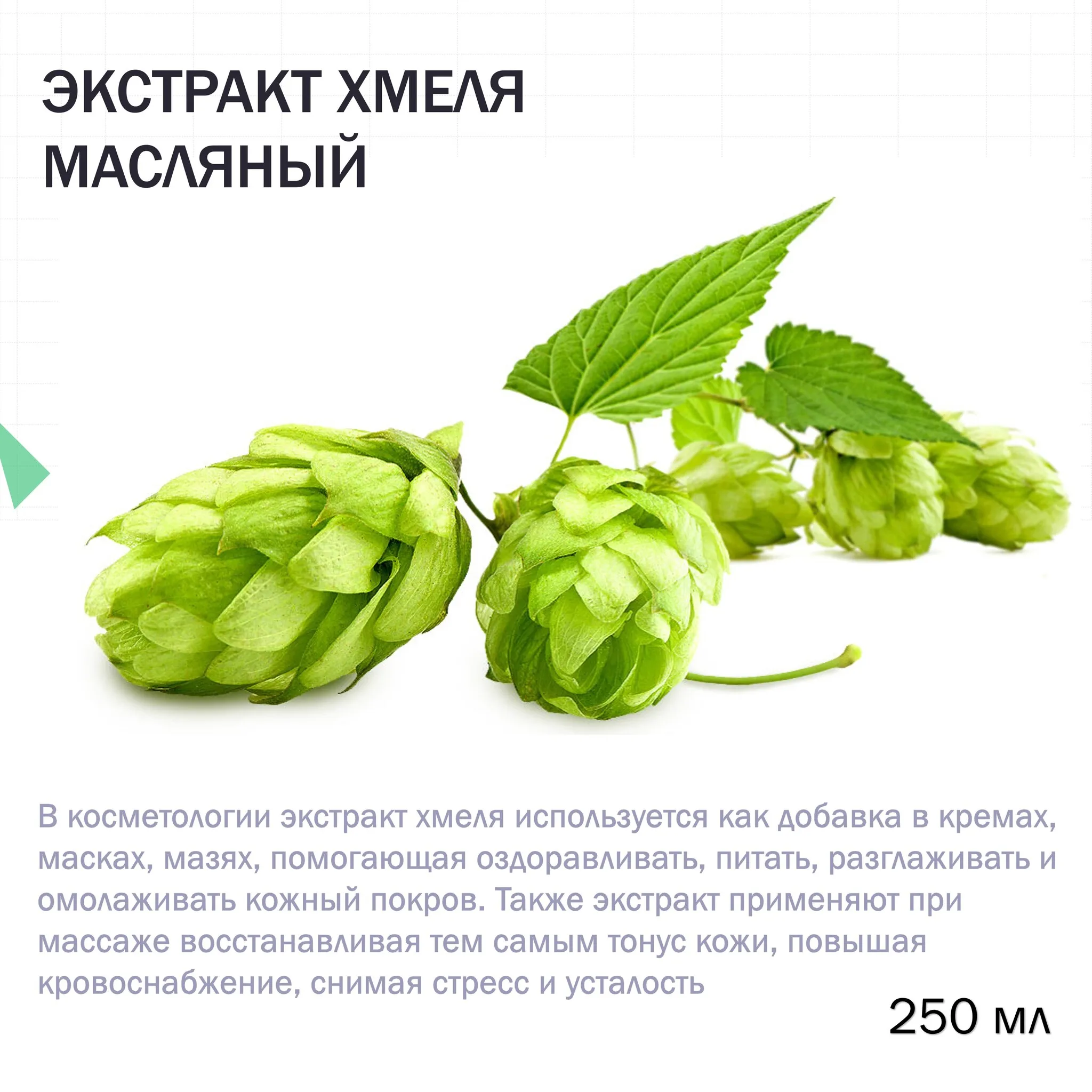 Экстракт Хмеля Купить В Аптеке