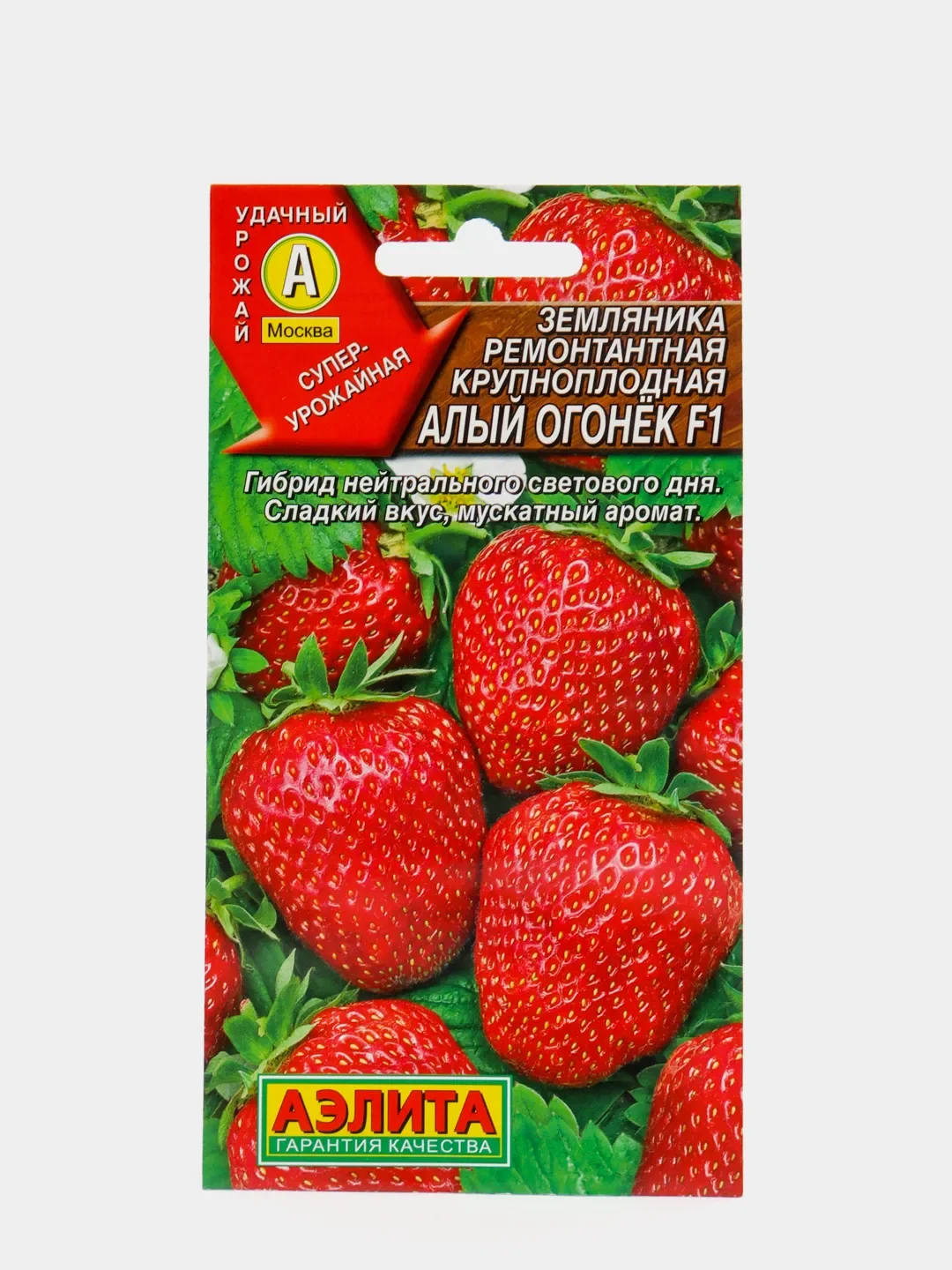 Семена Земляники Купить