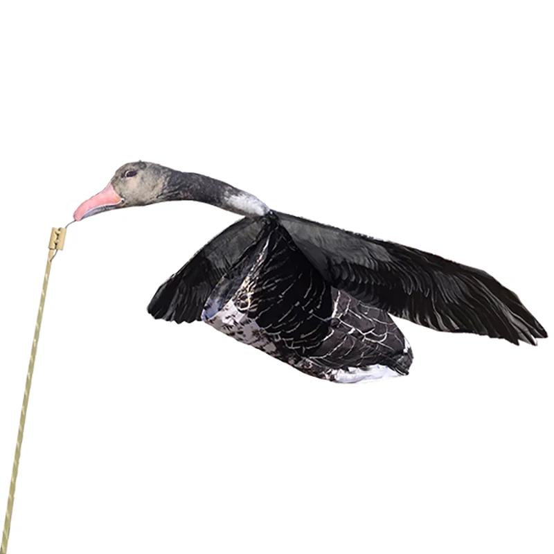 Селезень Серая утка махокрыл | AliExpress