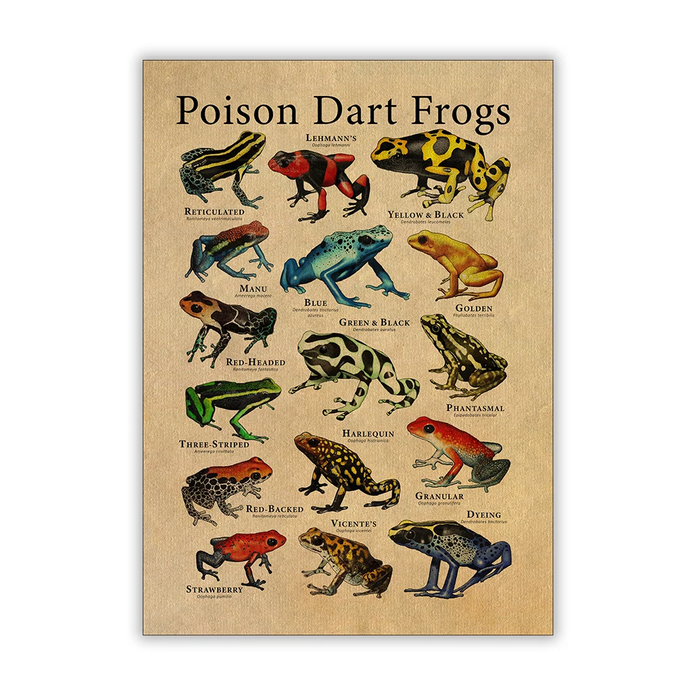 

Ядные дротики-лягушки плакат лягушки мира виды художественный принт научная иллюстрация холст живопись украшение стены детской комнаты