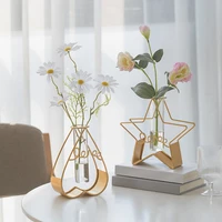 ins creative hydroponic test tube can be wall mounted vase simple desktop decoration living room dried flower table decoration