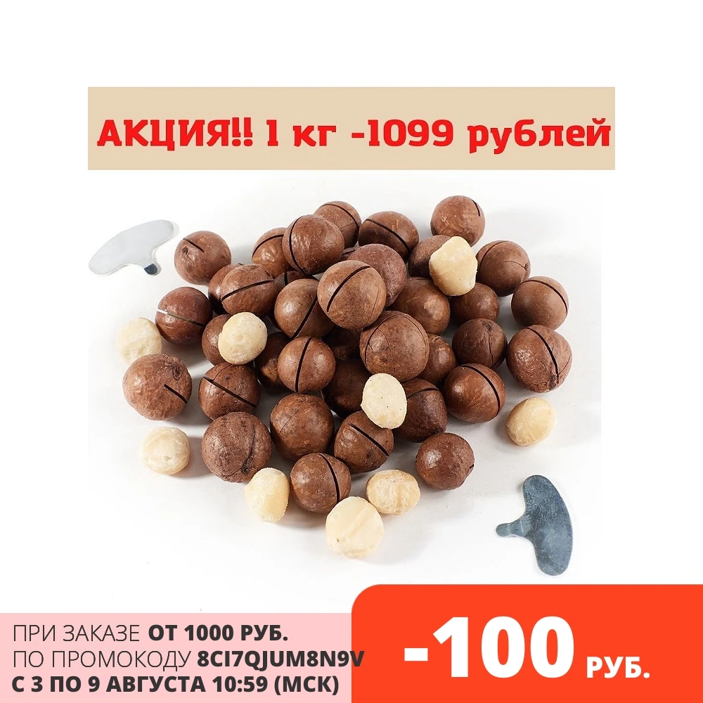 Макадамия размеры. Макадамия размеры