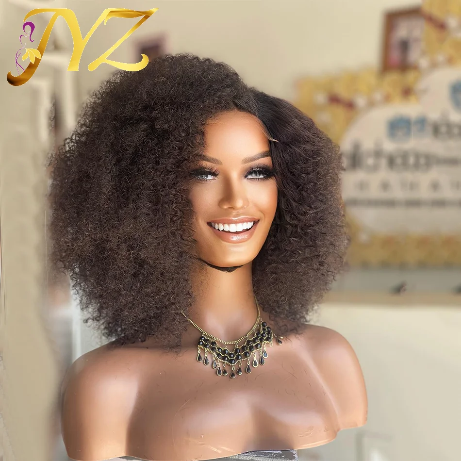 

Afro Kinky Curly Wig 13x4 Lace Front Human Hair Wigs For Women 200% Density Glueless Brazilian Remy Pre-Plucked Natural Hairline