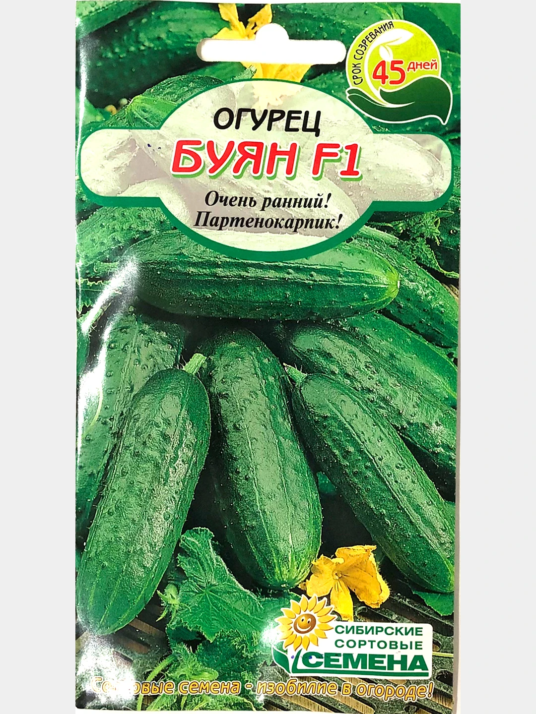Огурец буян. Огурец буян фото. Огурец маменькин любимчик f1. Огурец буян f1. Огурец буян f1.