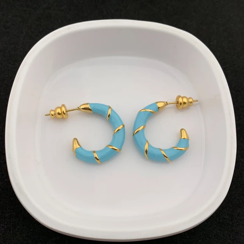 Metal Colorful Resin Hook Luxury  Earrings for Women Brand Gift Party Fashion Jewelry
