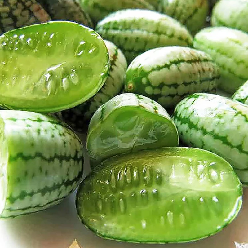 Экзотический огурец. Экзотический огурец. Фрукт кивано. Странные сорта огурцов. Индийский огурец момордика.