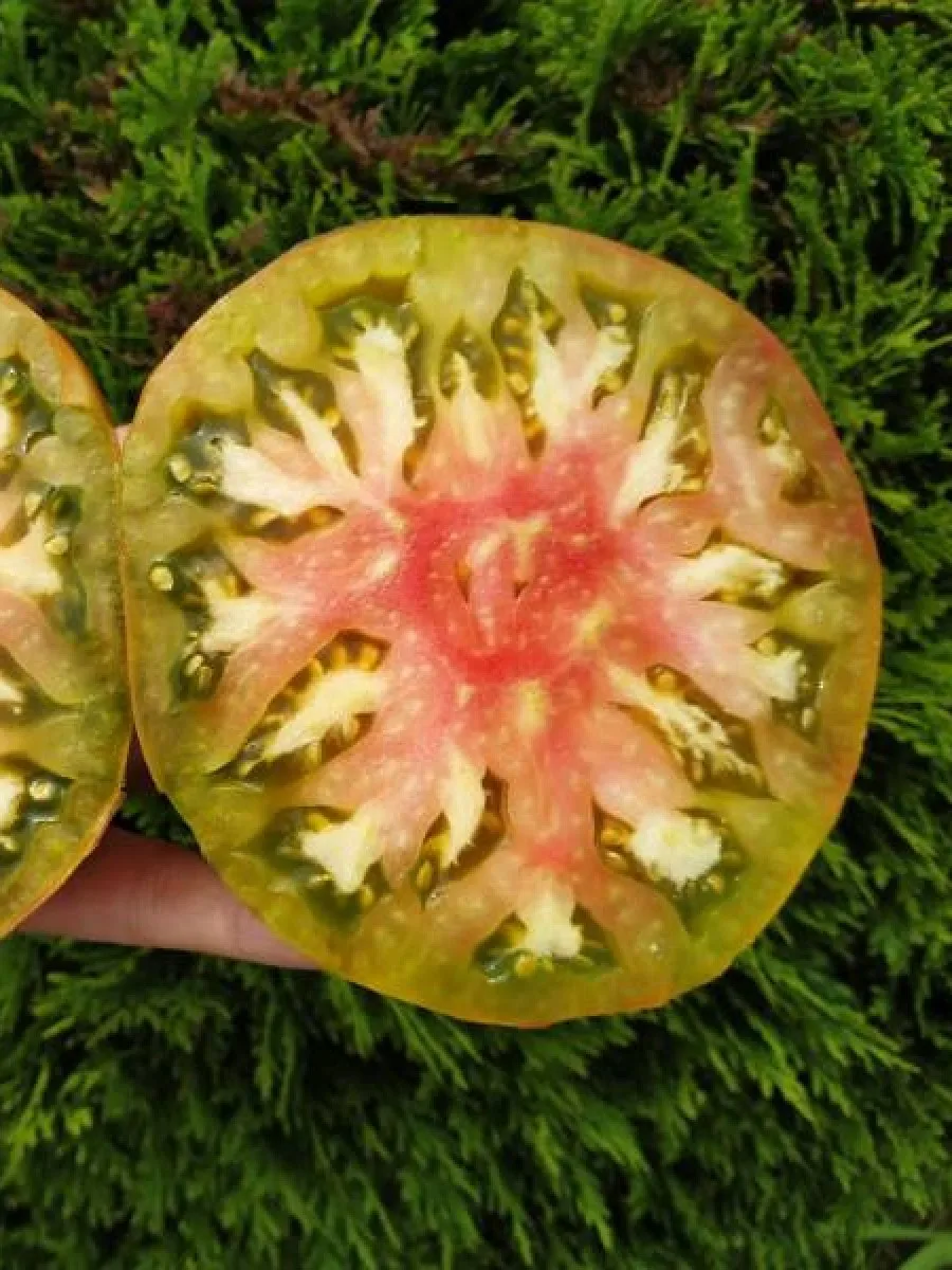 Где Купить Томат Семена Гавайский Ананас