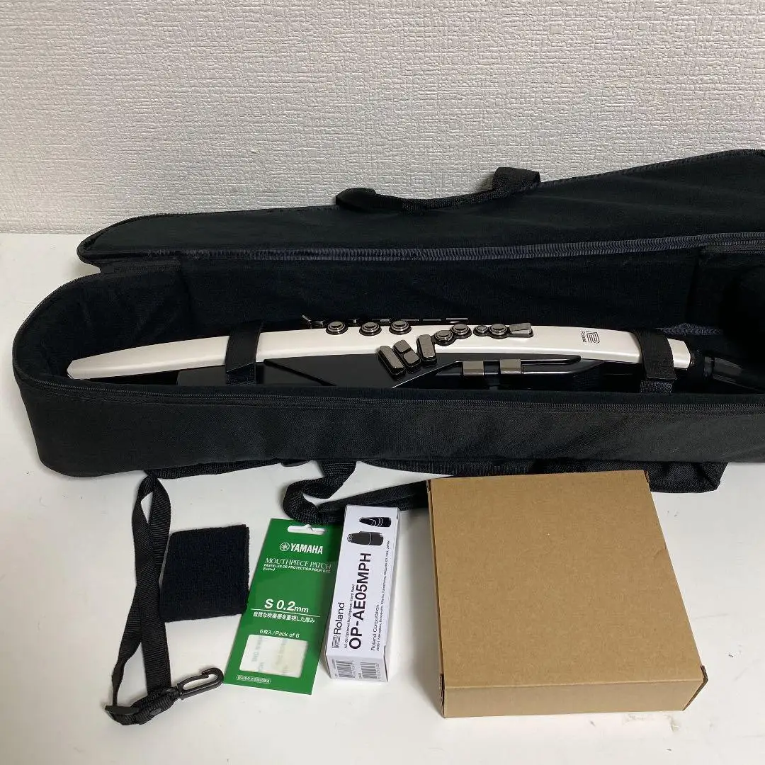 

95%Big Discount Sales New Roland Aerophone AE-20 Digital Wind Instrument