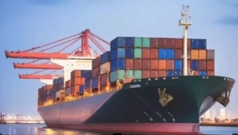 

Разница в цене на Włodzimzimierz Ehrenhalt