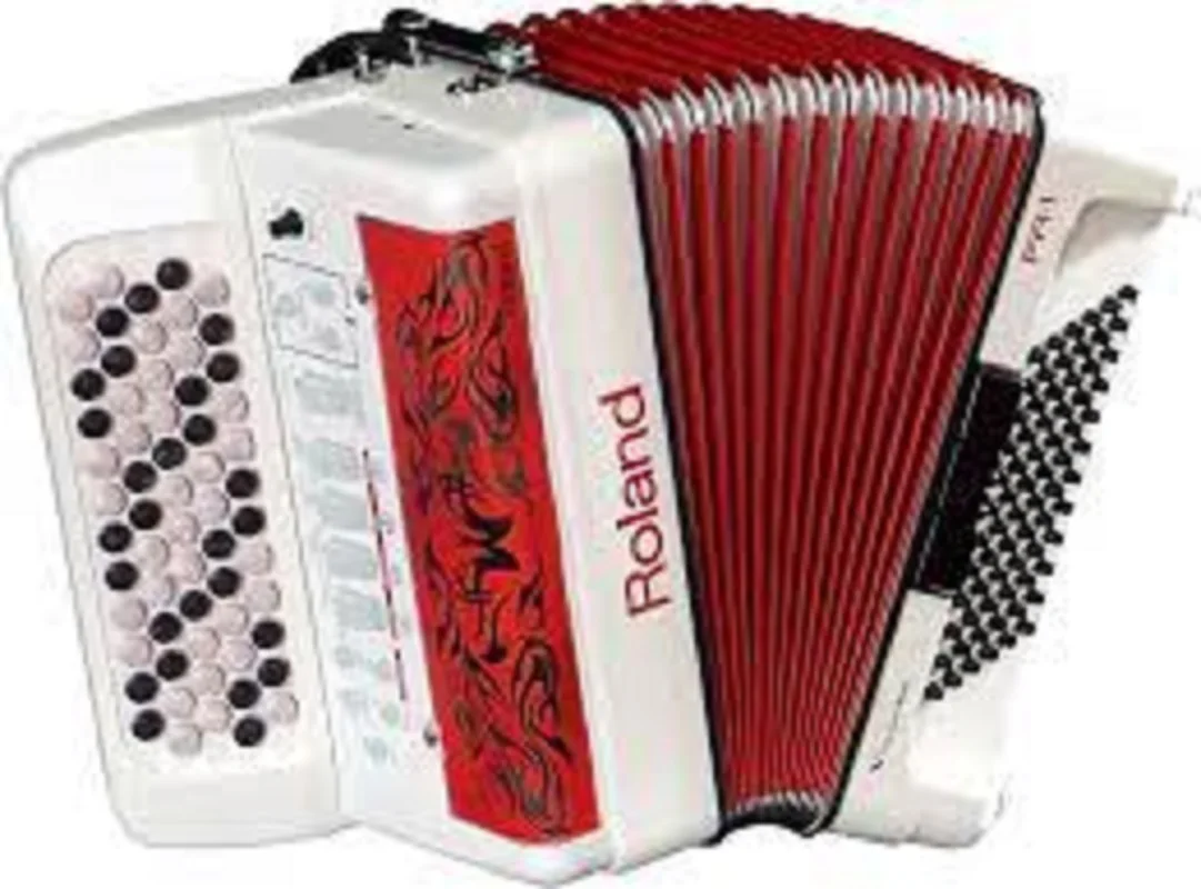 

NEW PROMO Roland FR-8xb V- FR-18 diatonic FR-1xb V Hot