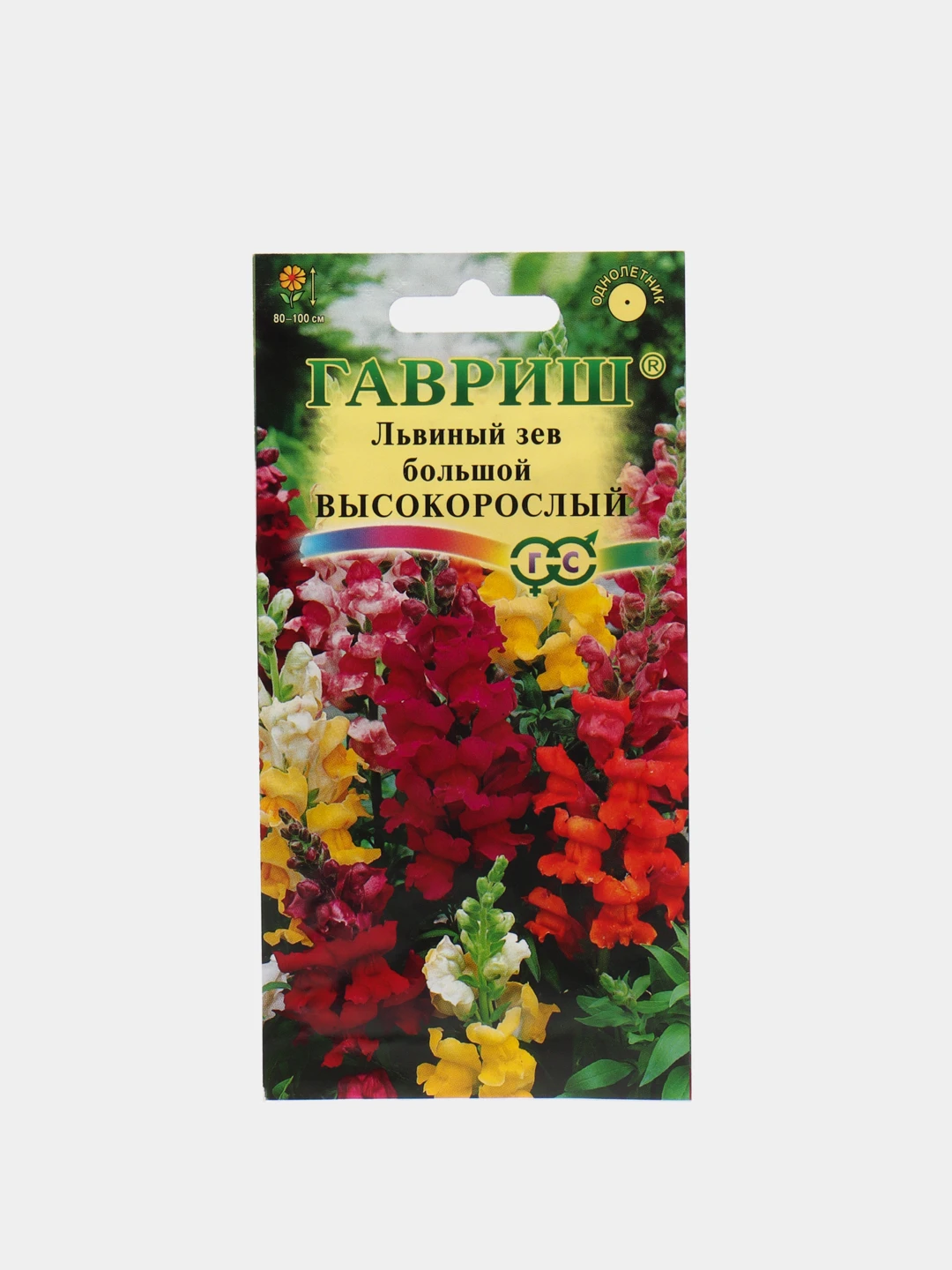 Цветы львиный зев