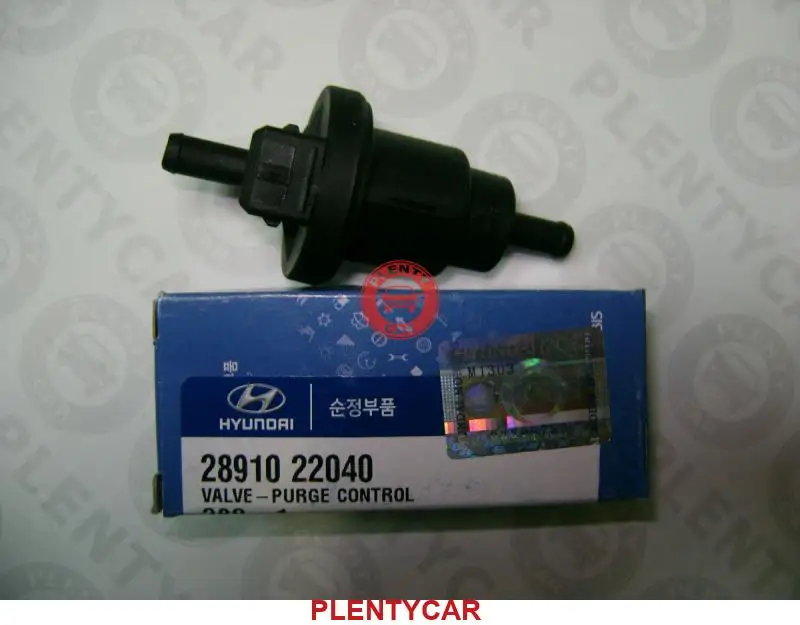 2891022040 Hyundai Kia Клапан Абсорбера Купить