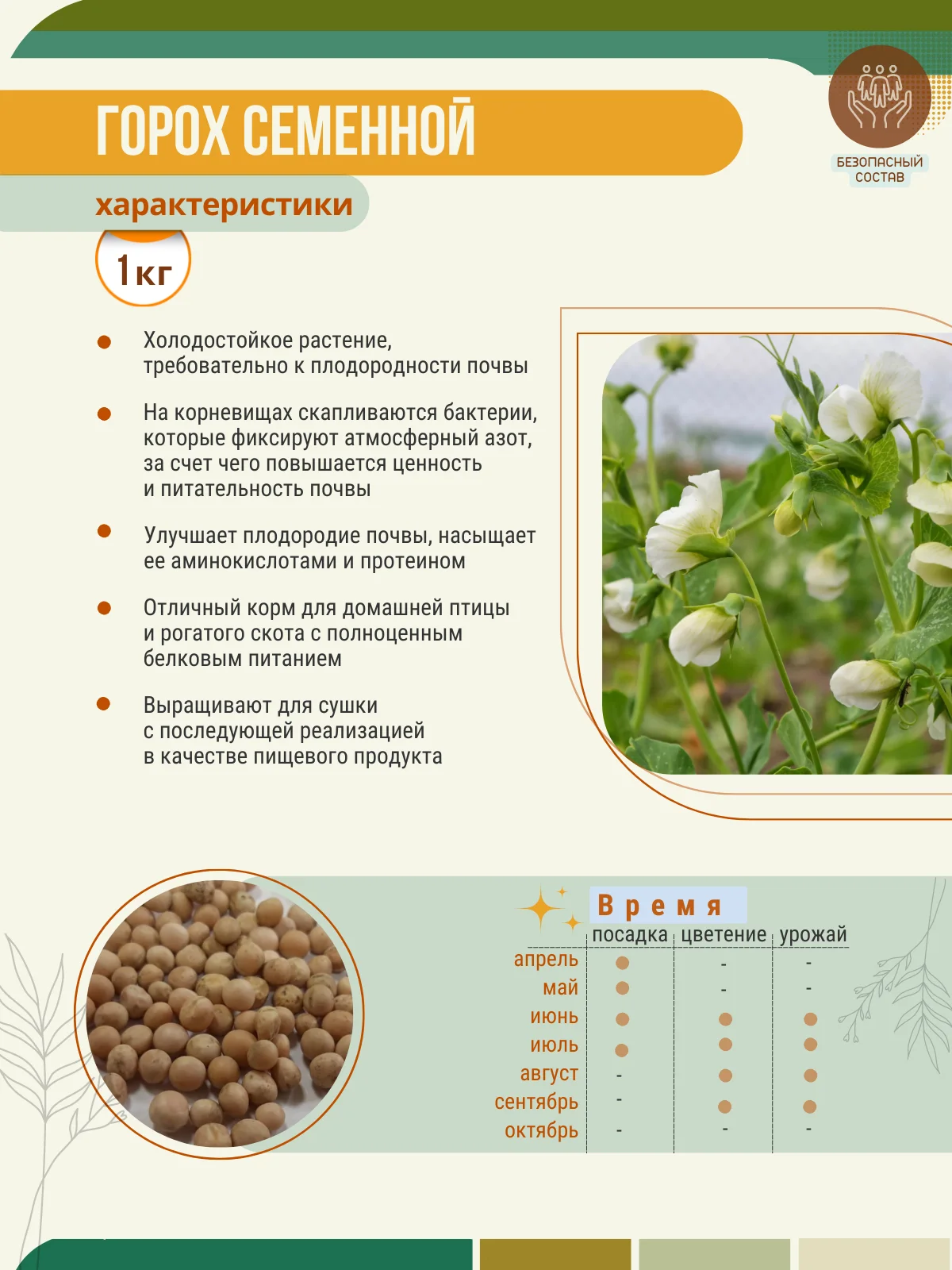 Микрозелень гороха. Выращивание гороха. Горох сколько семян. Горошек семена. Горох сидерат.