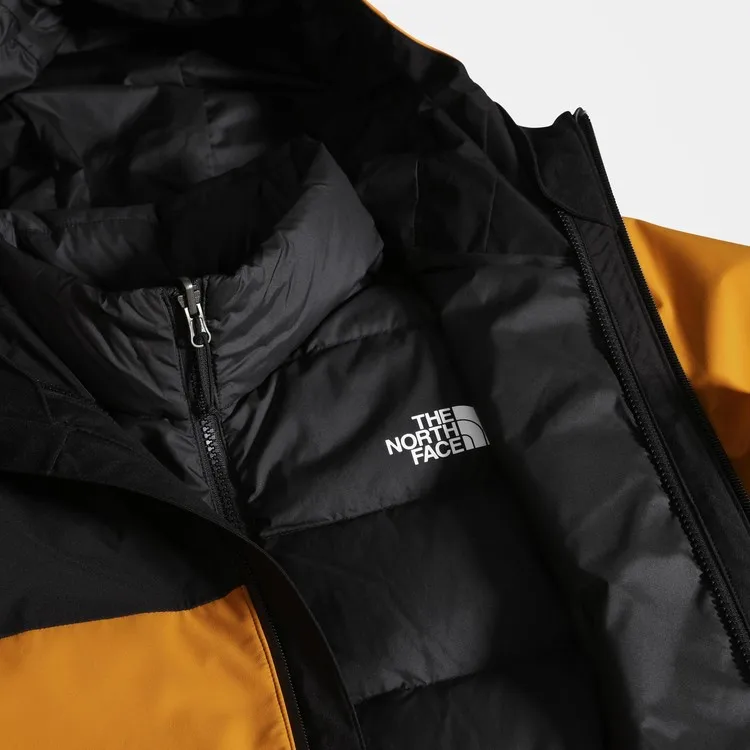 Рисунок 3 - Мужская куртка The North Face Mountain