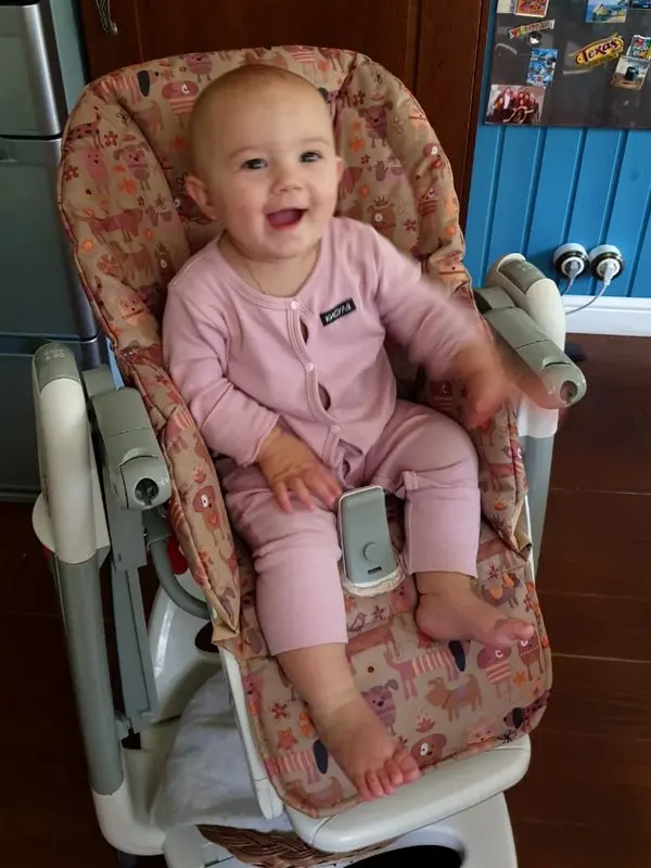 Cменный вкладыш Стрекоза к стулу для кормления бренда Peg Perego Tatamia. С прорезиненной