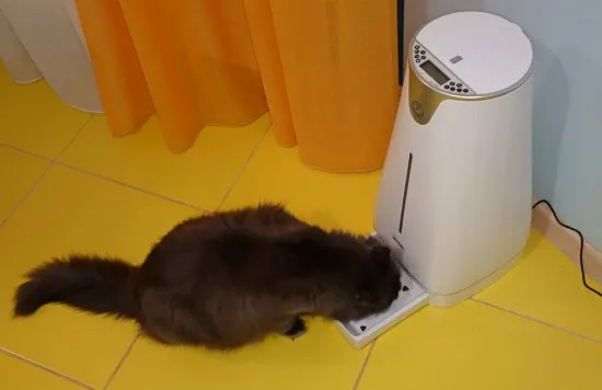 Автоматическая кормушка SITITEK Pets Prо