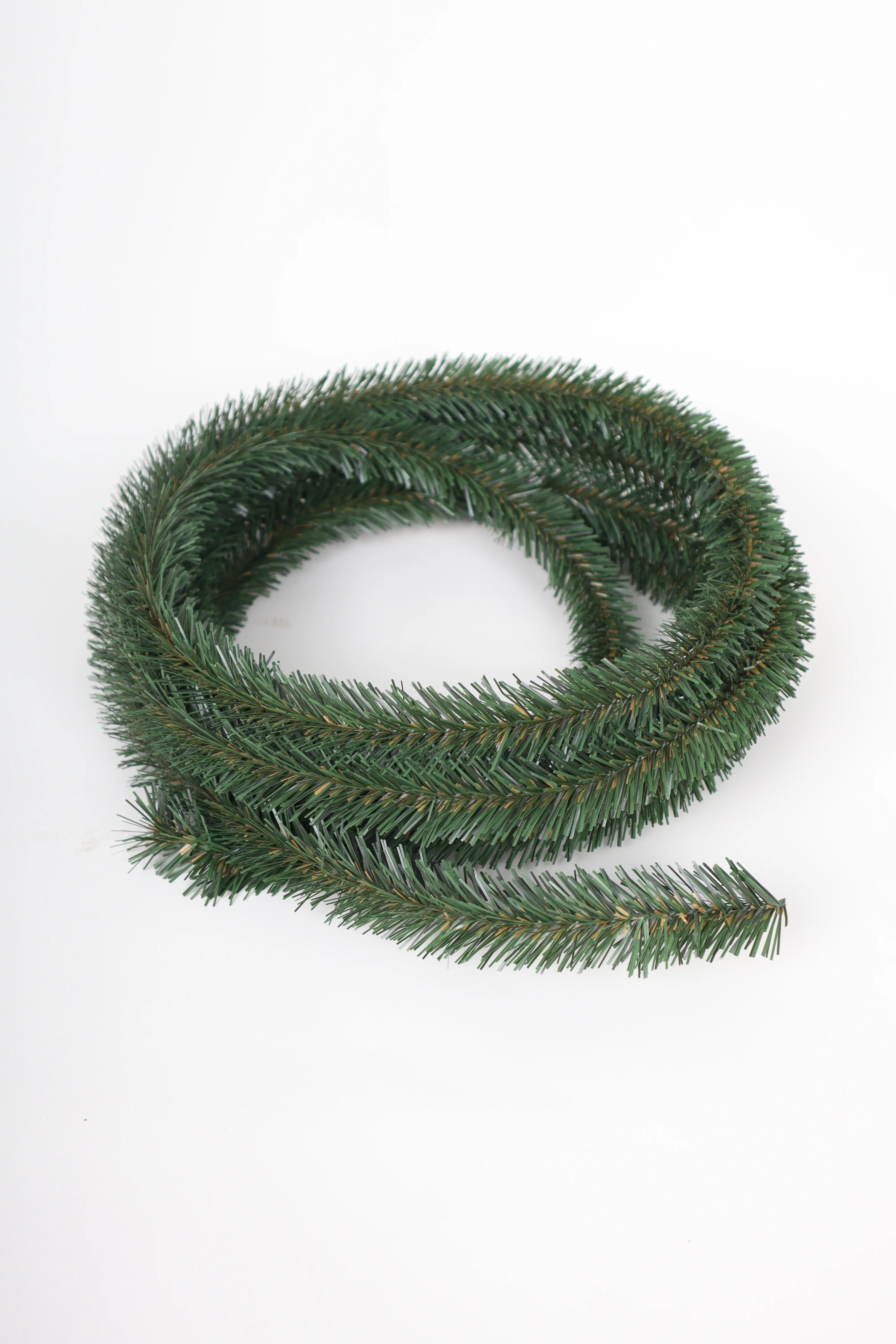 хвоя 5. ель обыкновенная хвоинки. росток хвои. хвоя пихты. хвоя 5.