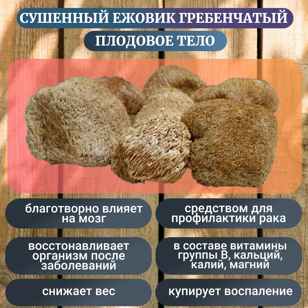 Ежовик, ежовик гребенчатый, ежовик гребенчатый сушенный + подарок мхм ...