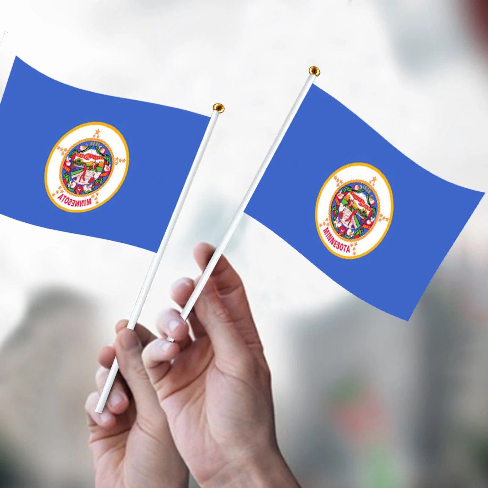 Набор из 10 флагов Minnesota Wave старой версии 14x21 см