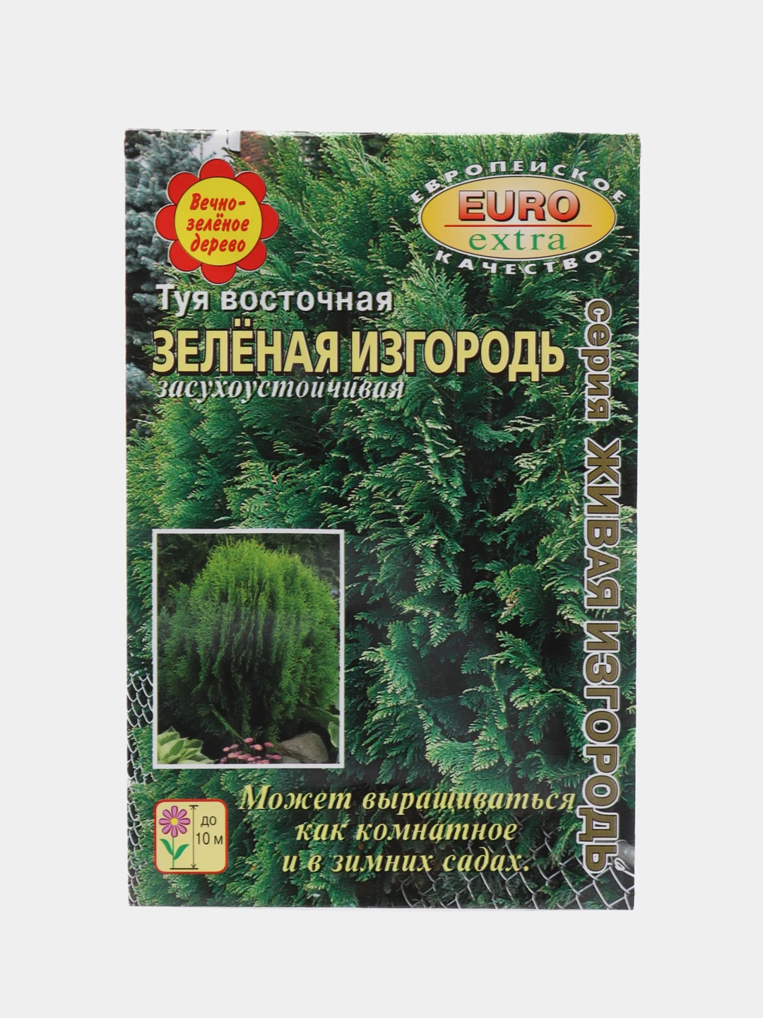 Купить Семена Туи В Беларуси Почтой Недорого