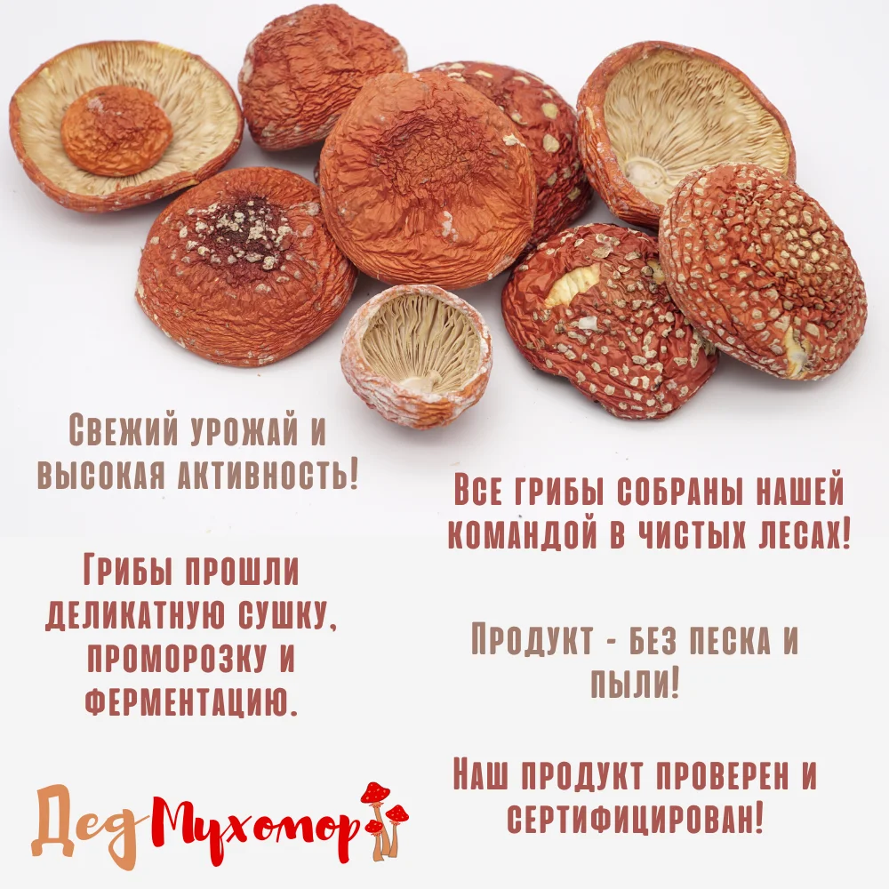 Фото Закрытые молодые шляпки мухомора красного сушёного для микродозинга 360 грамм (свежий урожай Октябрь 2022) №2