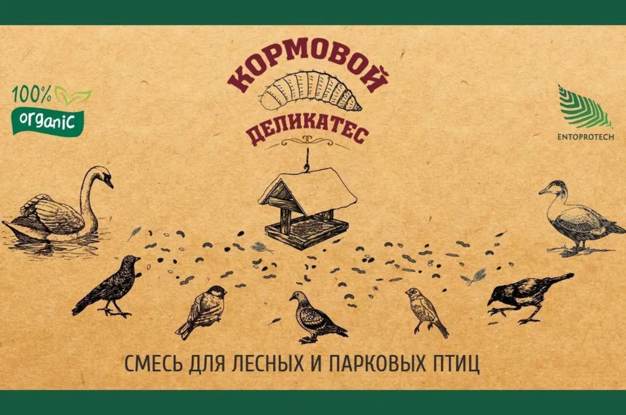 Корм Для Лесных Певчих Птиц Купить