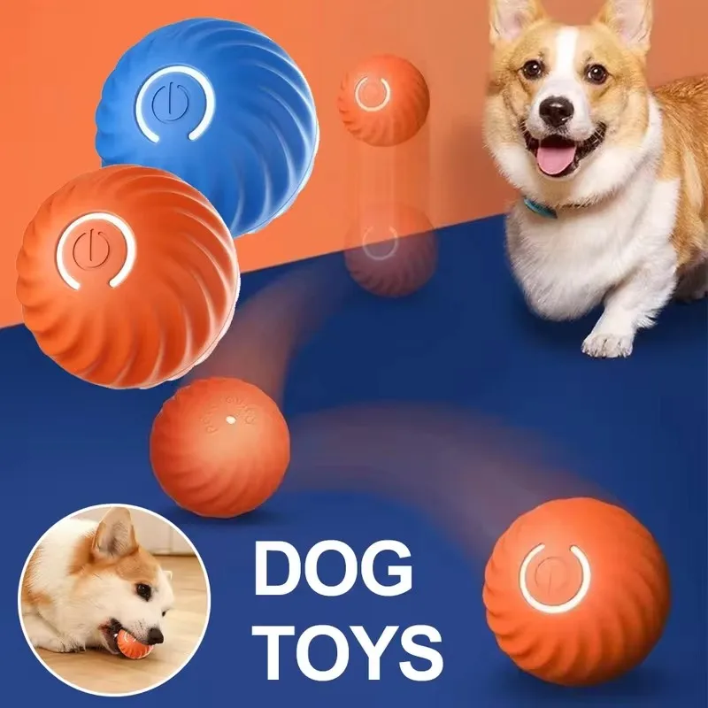 A217ddb51a12f4d2b9af9d2421c3f0ca0g.jpg