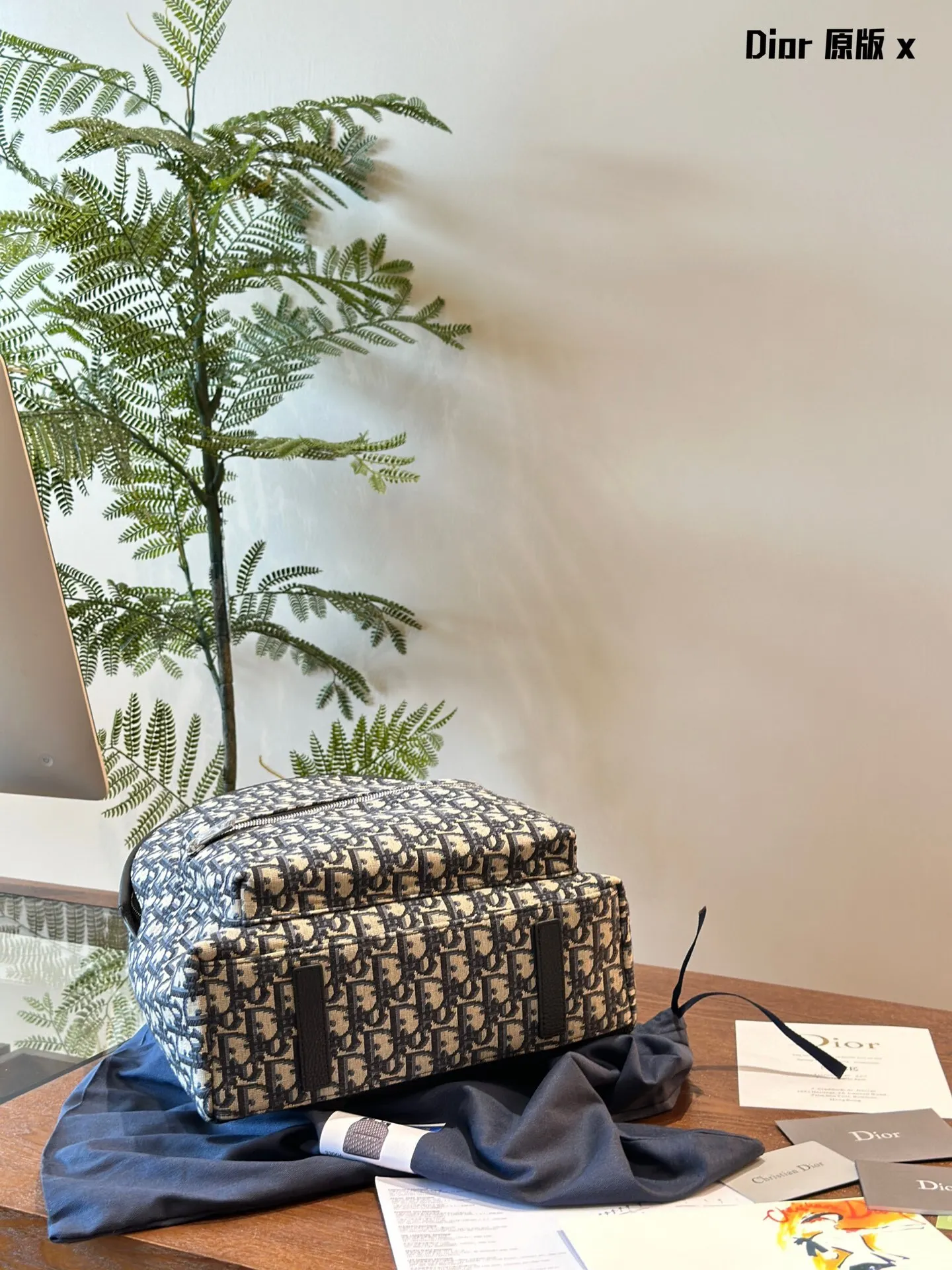 Dior Tote Cope 1:1 Новинка 2024 мужской модный рюкзак портфели кошелек сумки на плечо с