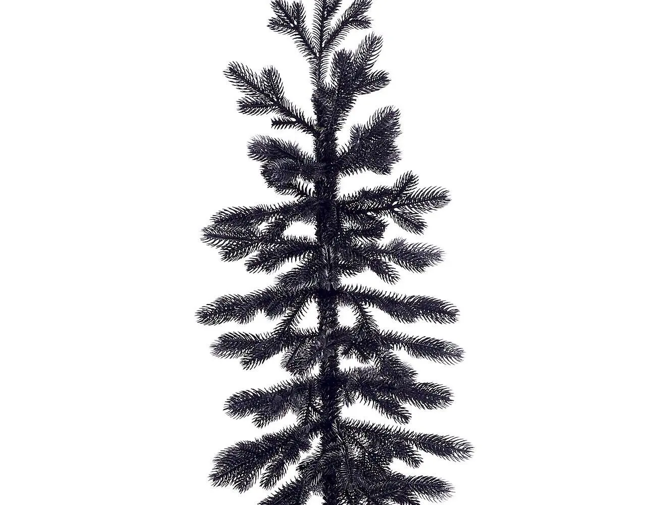 Арча трава киргизии. Долина реки ала-арча. Тянь шаньская ель ала арча. Ель королева тянь шаня. Тянь шаньская пихта.