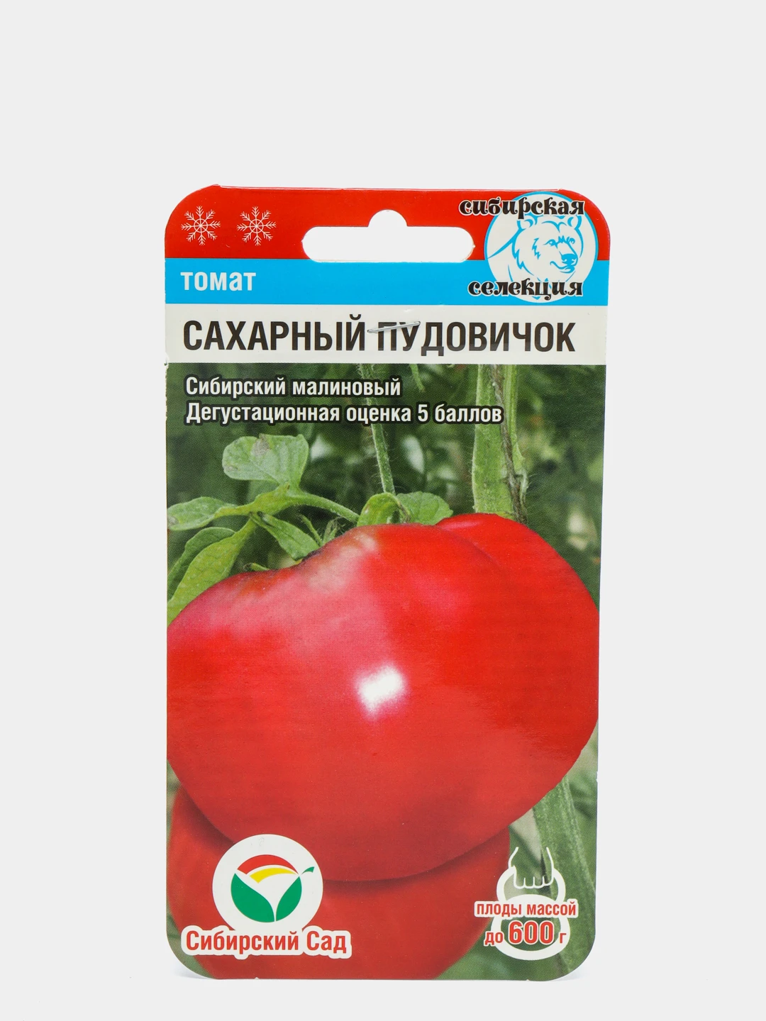 Томат Сахара Отзывы Фото