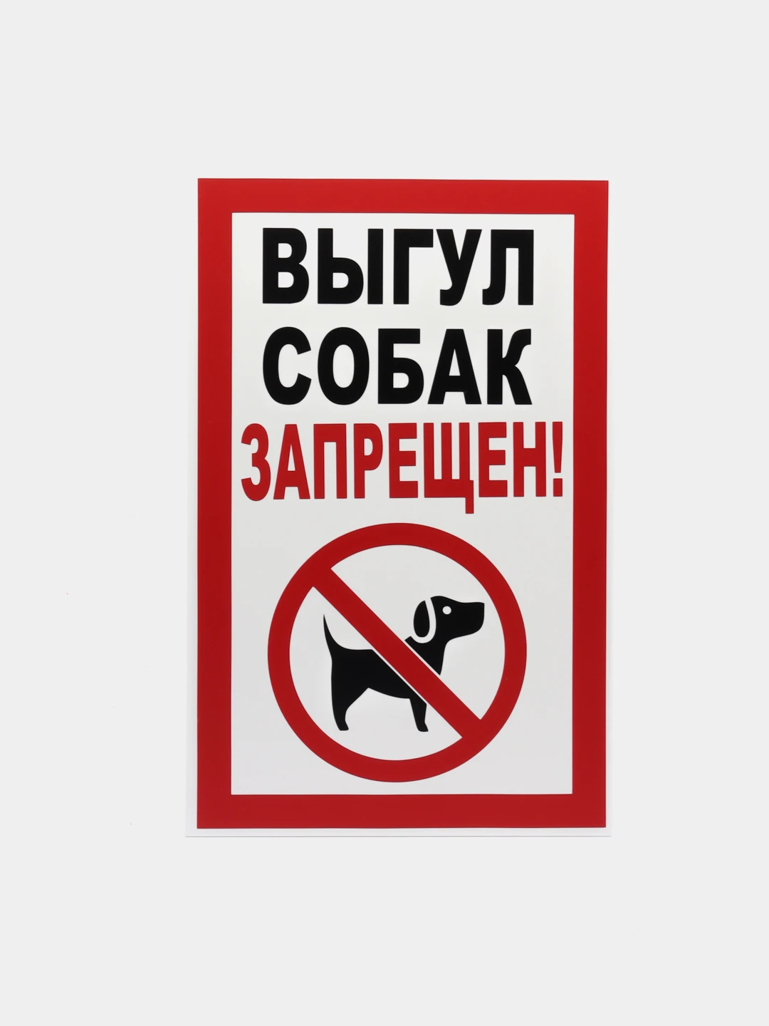 Выгул Собак Цена