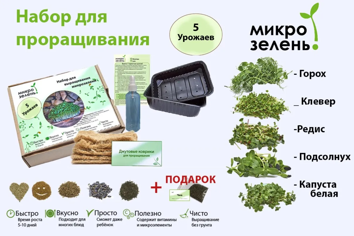 Набор для выращивания микрозелени 5 урожаев &quotMikroGreens" (горох клевер редис