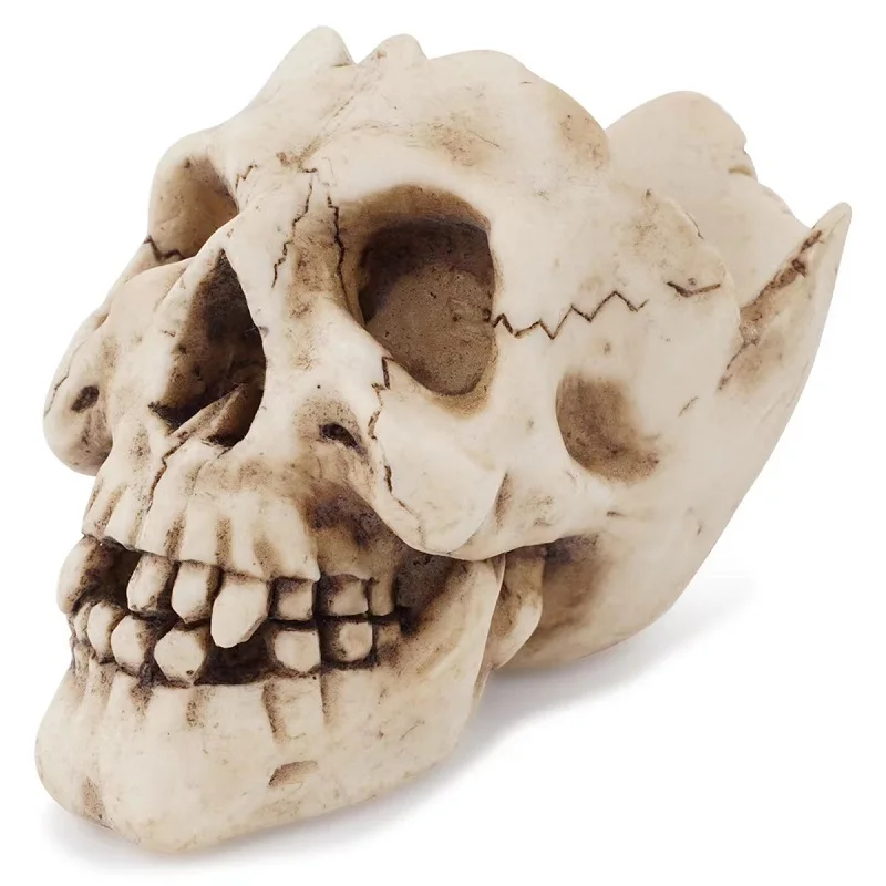 

Skull Ashtray Resin Skull Handicraft Ornaments Multi-Functional Desktop Storage Home Bar Table Decoration Ashtray