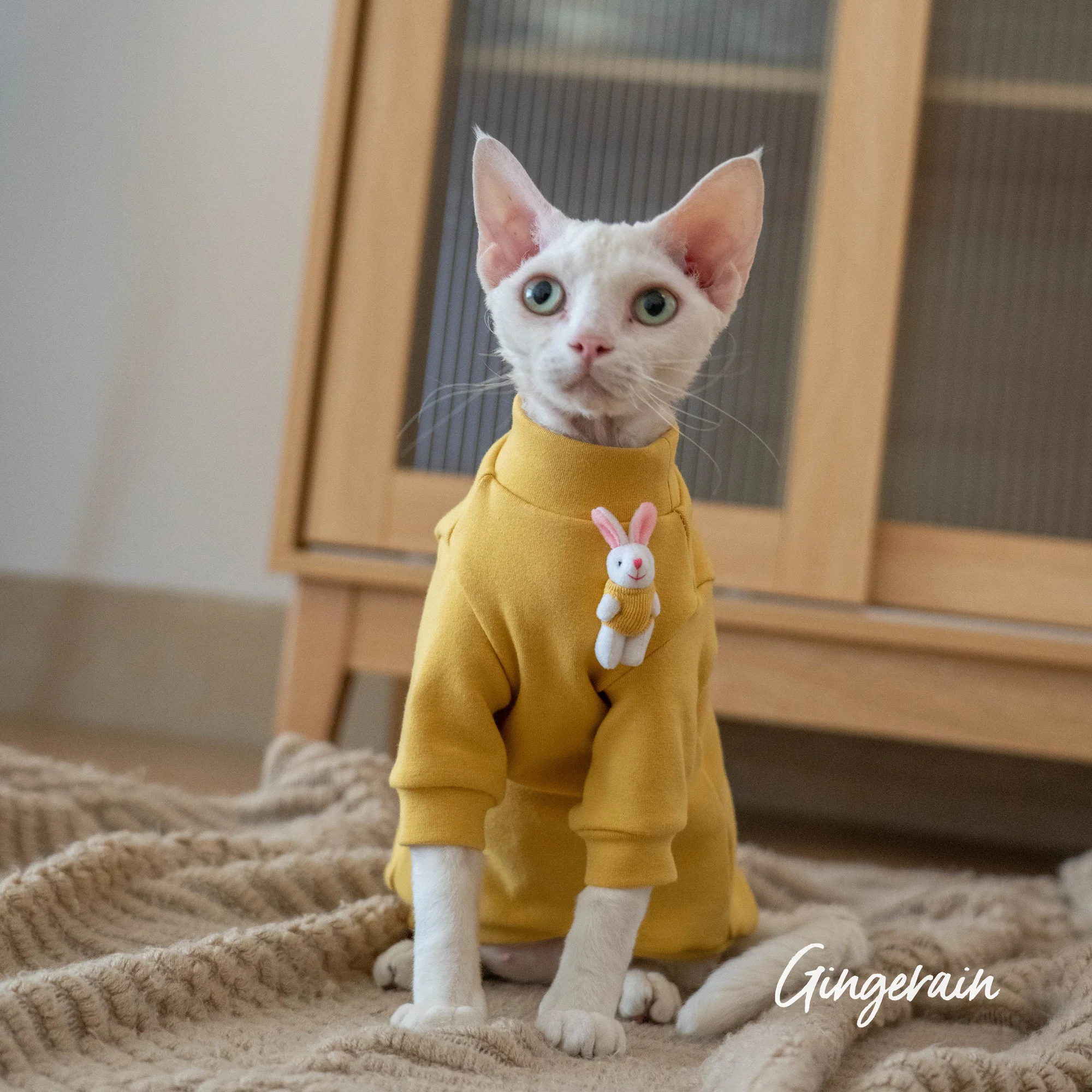 

Gingerain Sphynx Cat Clothes Hairless Cat Clothing Devon Rex Abyssinian jacket coat T-shirt 100% cotton,Comfortable yellow