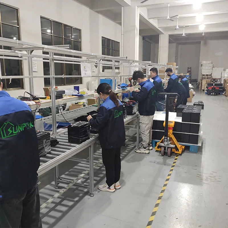 Сменная литиевая батарея Sunpok SP-48100-ZJ 51 2V 100Ah