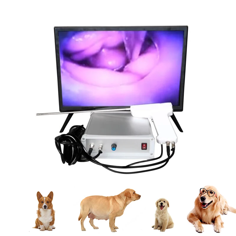 

Bulldog Sperm Camera AI Gun TCI Digital Corgi Artificial Insemination Dog Table Video Endoscope Canine Breeder Pet Hospital Vet