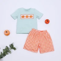fashionable pure cotton baby boy suit gray short sleeved pumpkin embroidery and yellow and white checked shorts children clothes